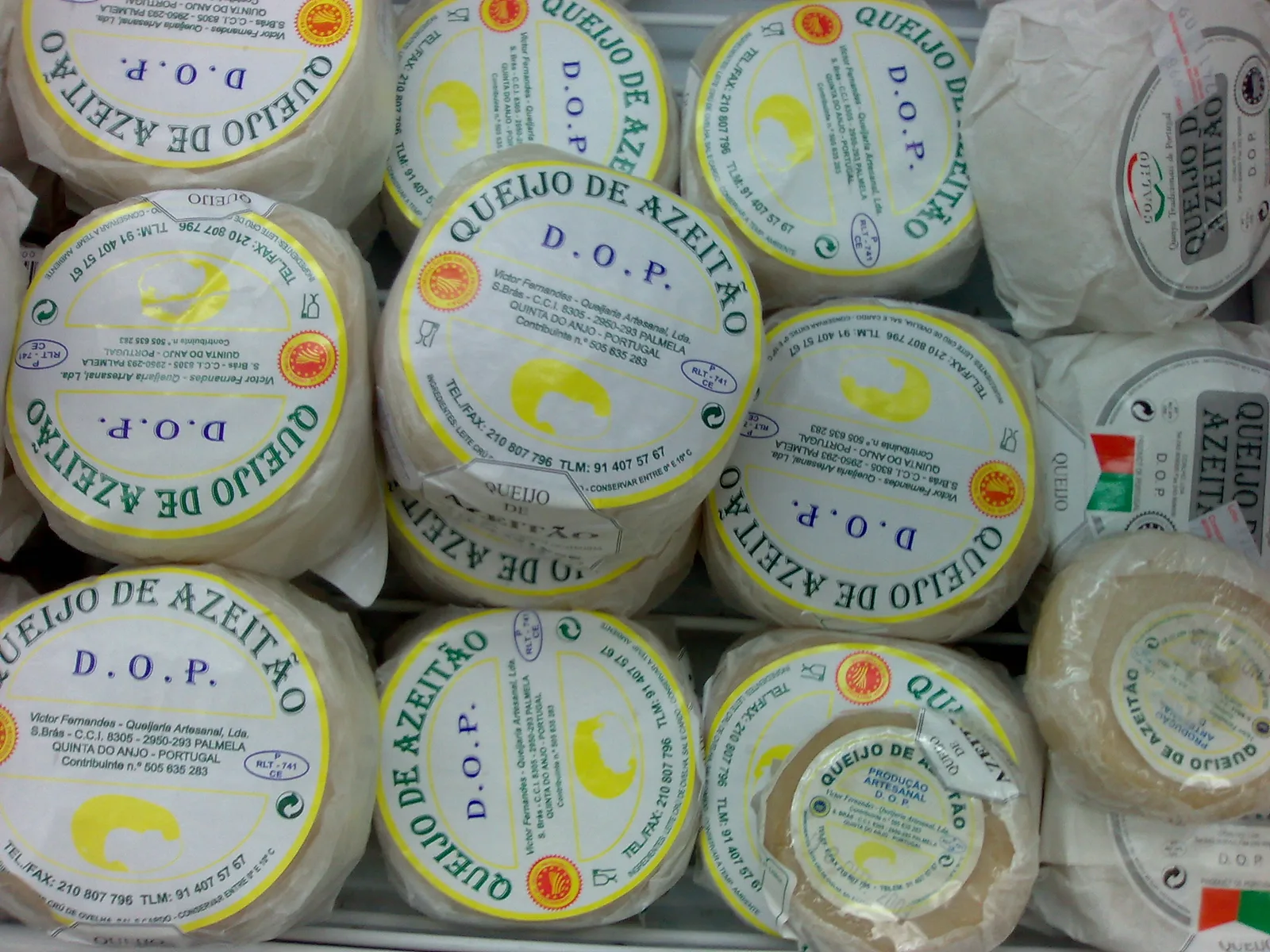Several wheels of Azeitao cheese