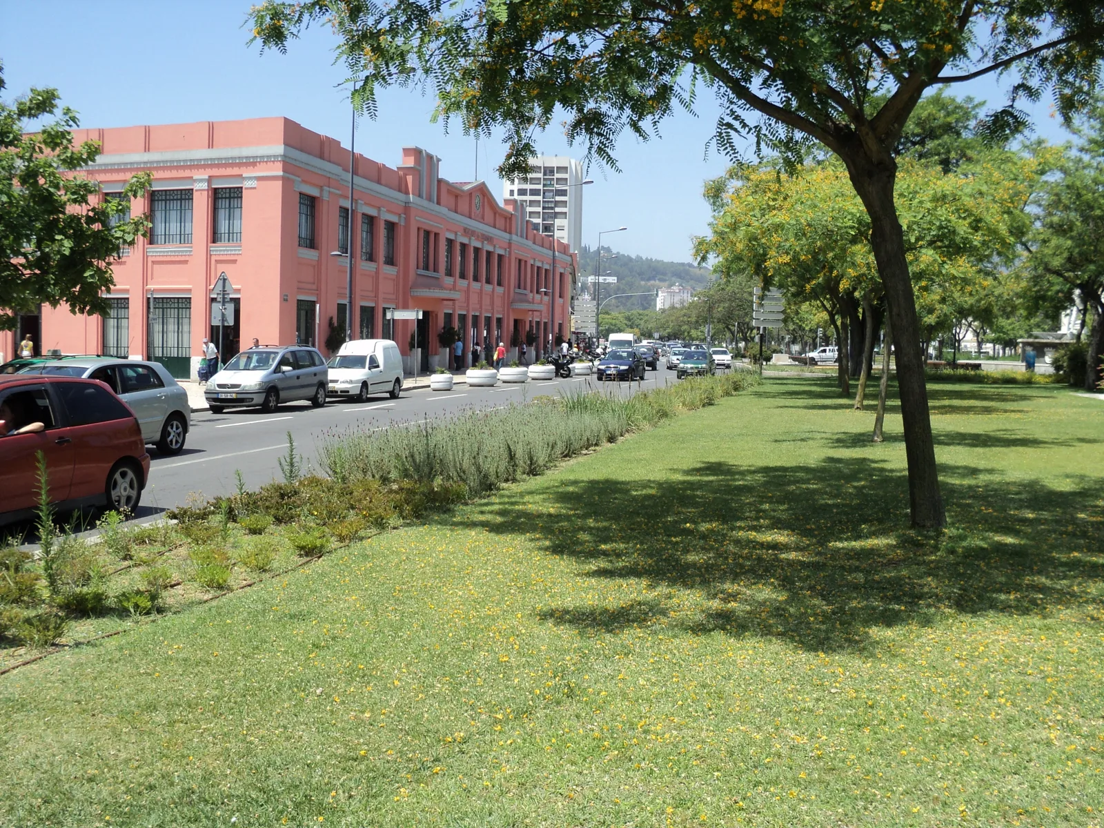 Mercado do Livramento — meeting place of cultures and cuisines