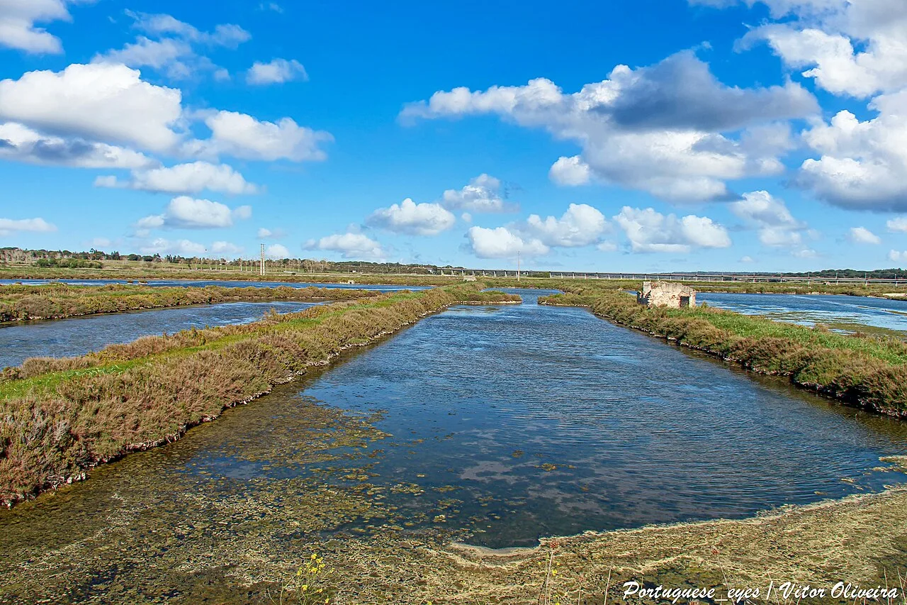 Salt works in the Sado River estuary