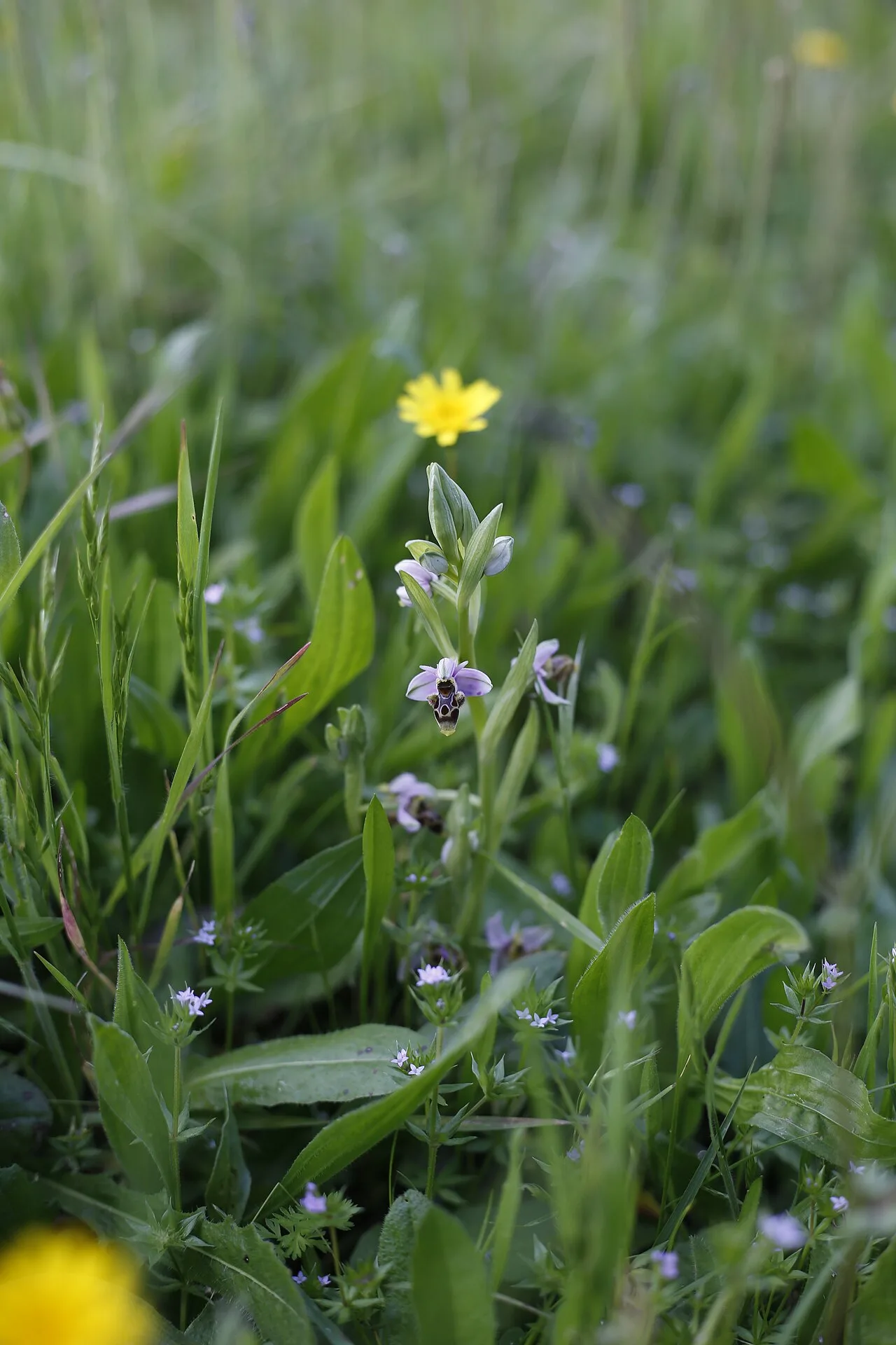 Salt works detail — salt crystallization