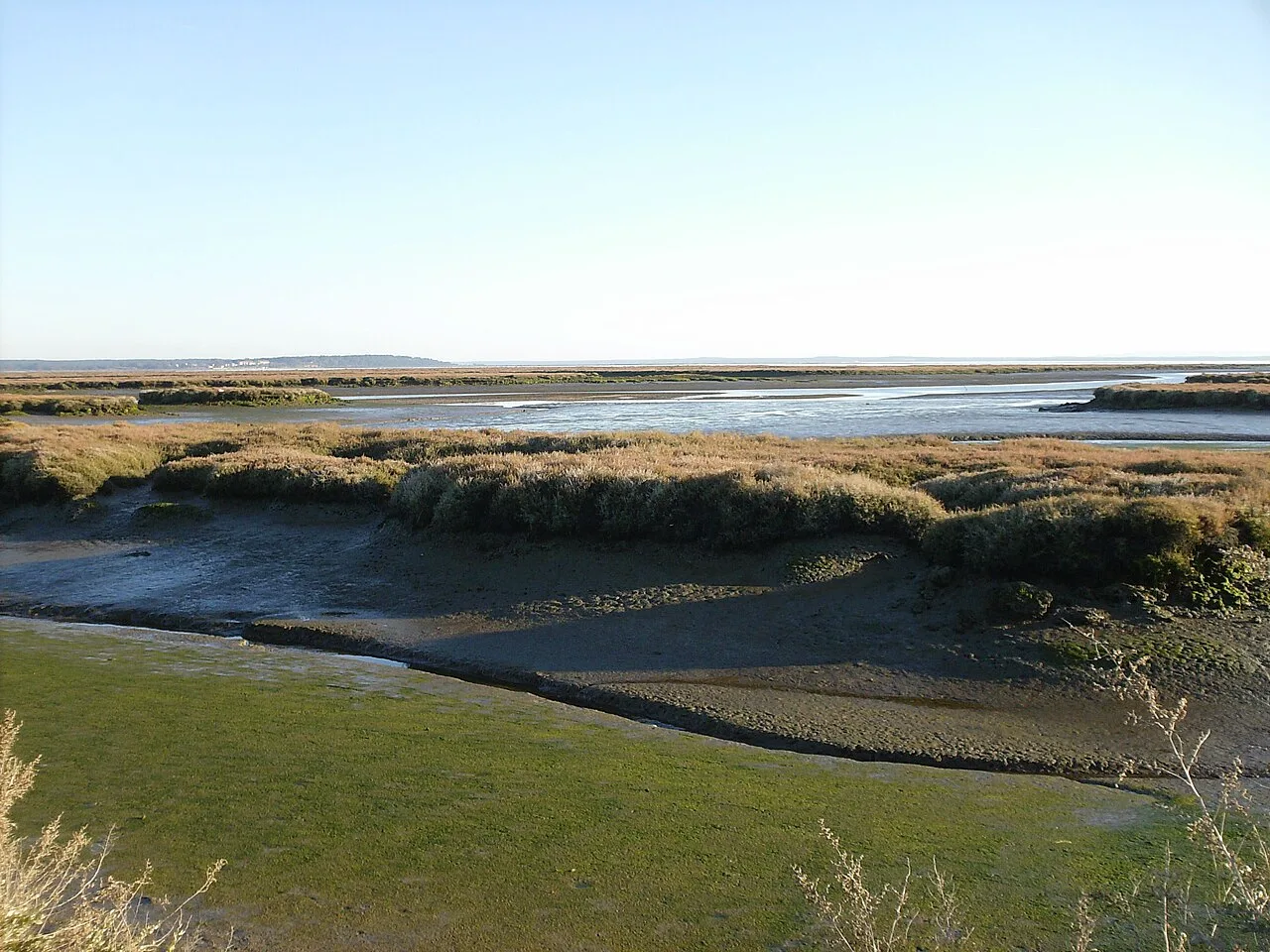 Sado Estuary