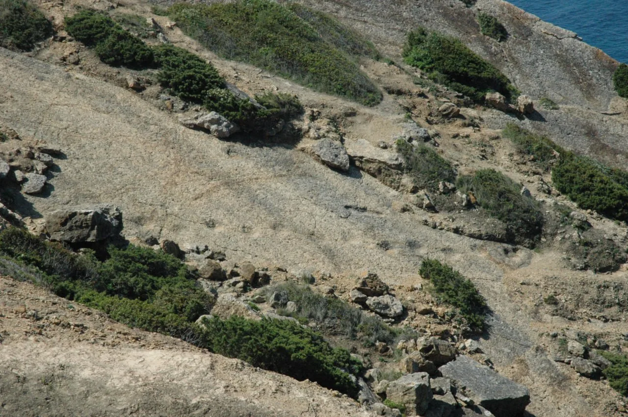 Cretaceous dinosaur trackway at Lagosteiros