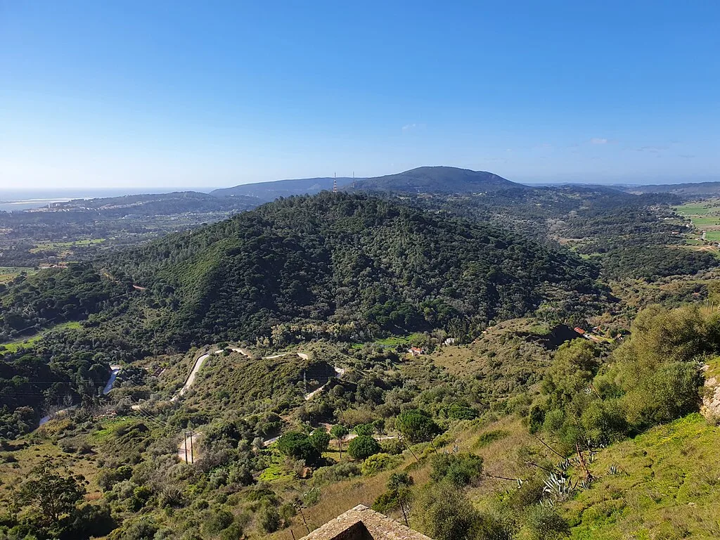 Panorama of Palmela with fortress and vineyards