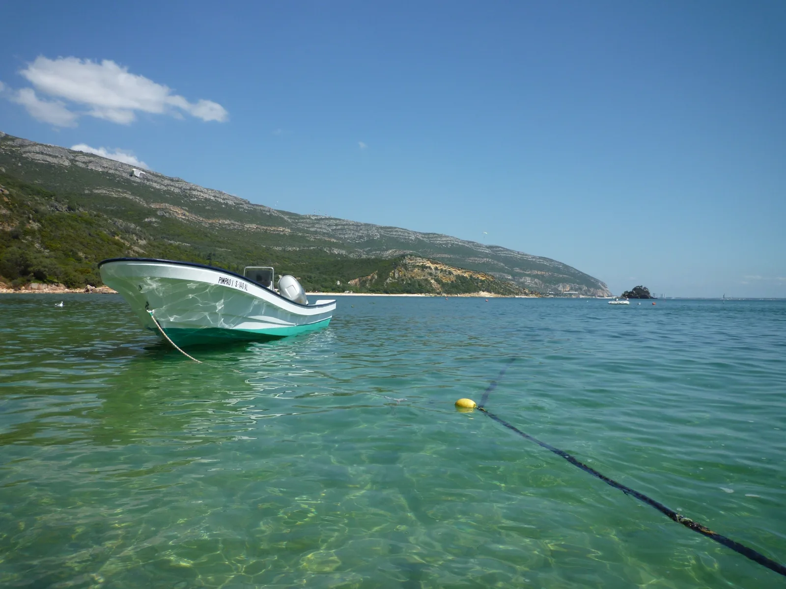 Diving off the Arrábida coast