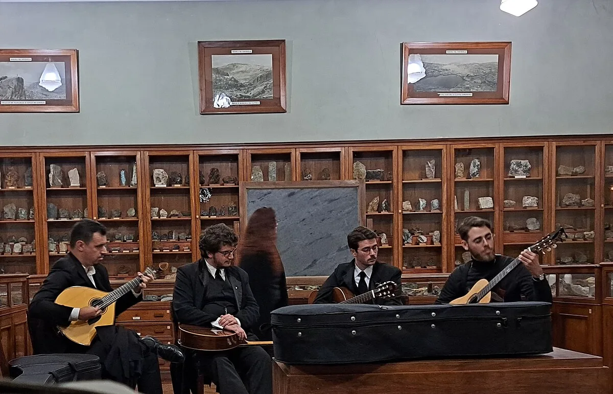 Live fado performance