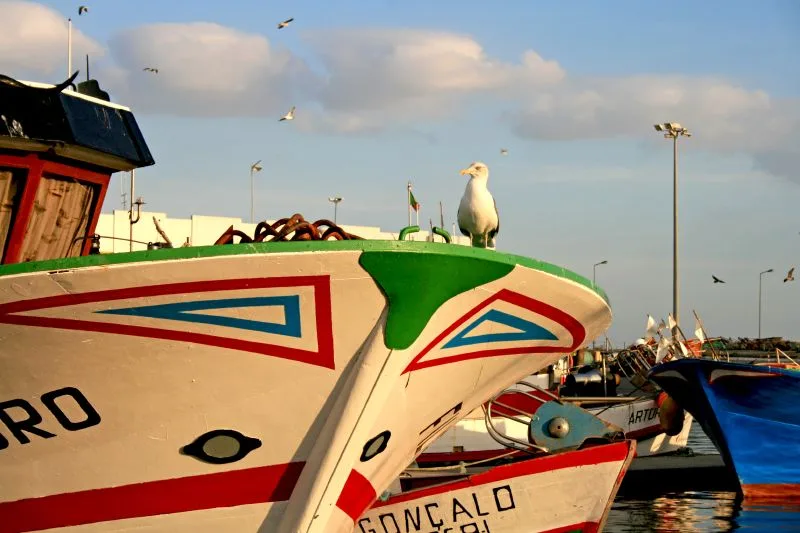 Fishing boats in port
