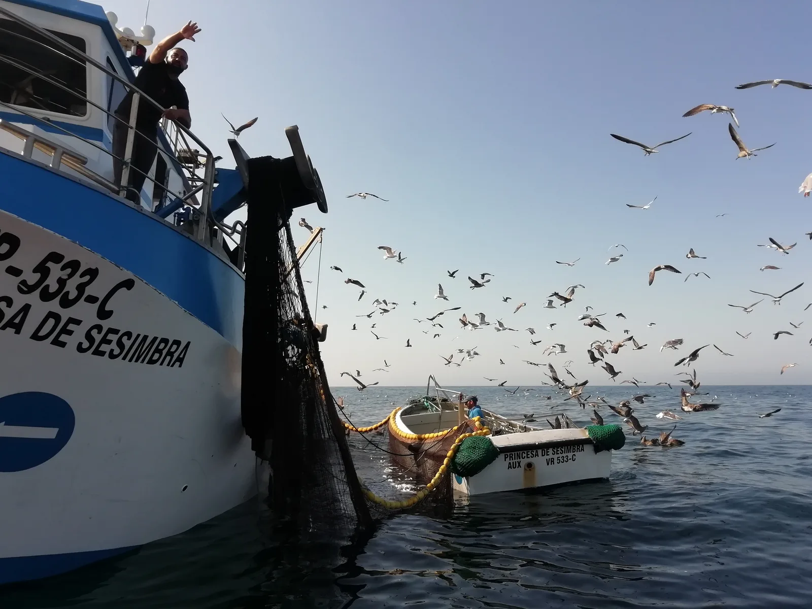 Fishing off the Sesimbra coast — the catch heads to the lota