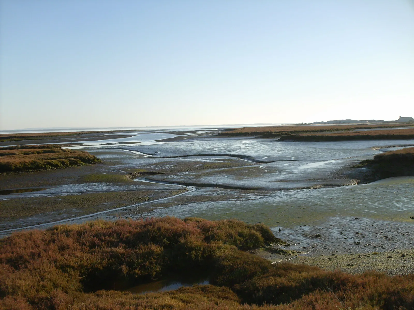 Sado River estuary — Setúbal’s sailing waters